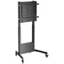 Aisens Soporte PRO de Suelo con Ruedas y Contrapeso FT100E-263 para TV 60-100 pulgadas